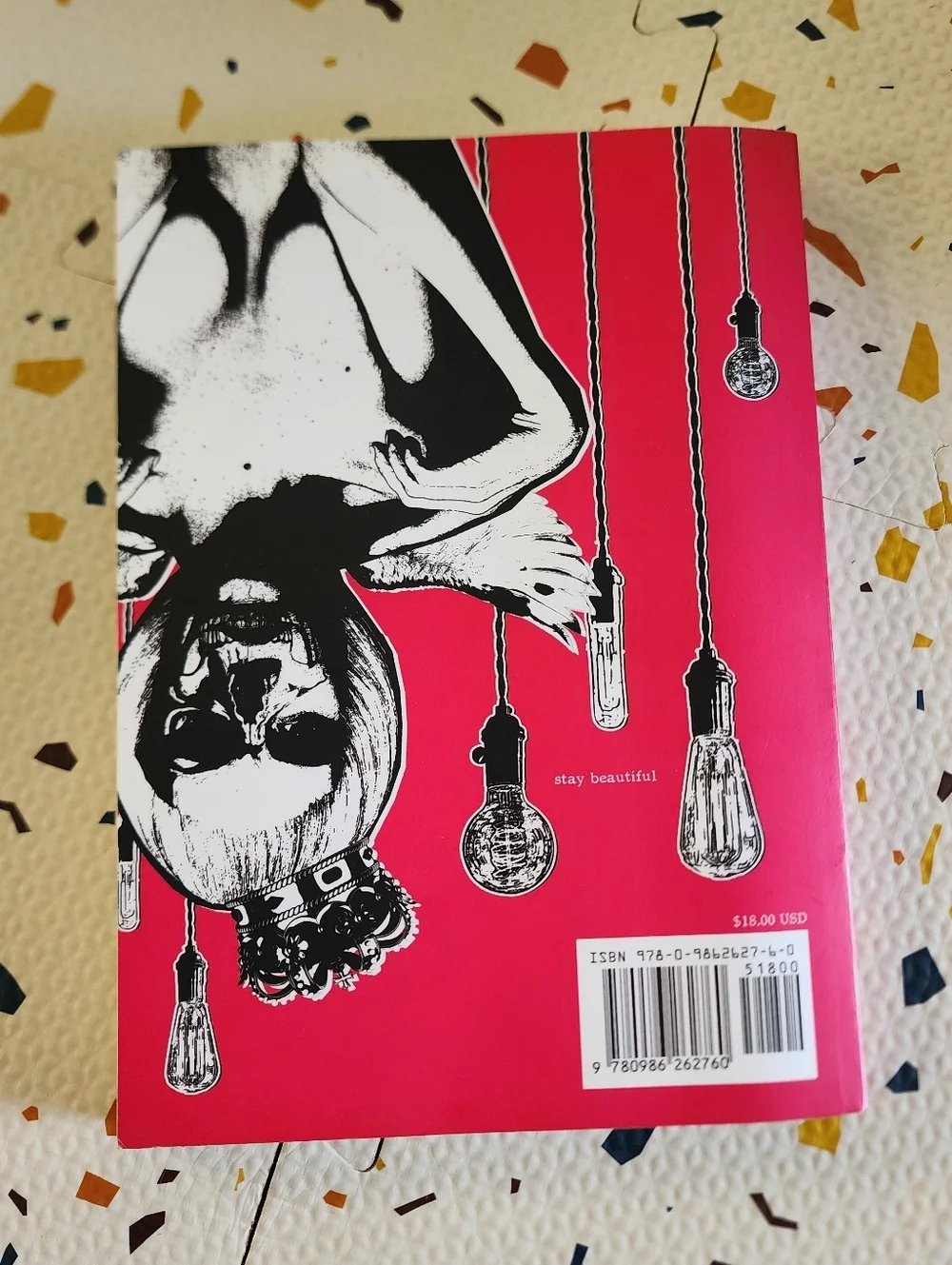 A Brilliant Madness by Robert M. Drake New Book Poetry